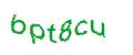 Captcha 画像