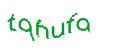 Captcha 画像