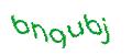 Captcha 画像