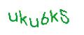 Captcha 画像