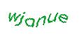 Captcha 画像