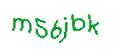 Captcha 画像
