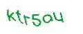 Captcha 画像