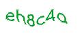 Captcha 画像